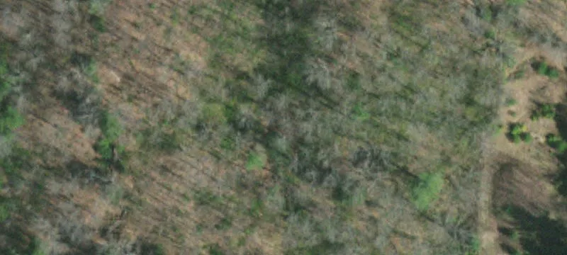 8155 Hwy 19th E