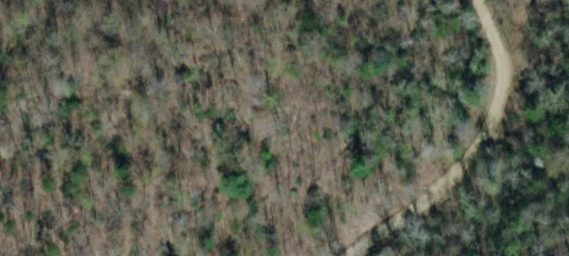 1465 Frank Roberts Rd