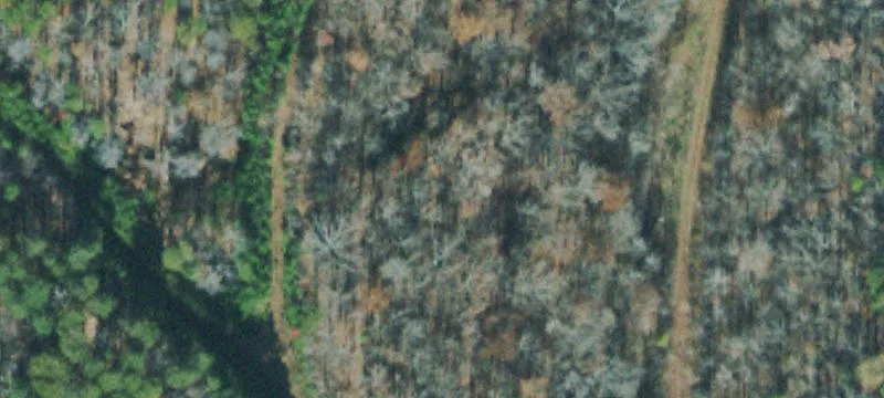 6807 Turkey Crk Rd