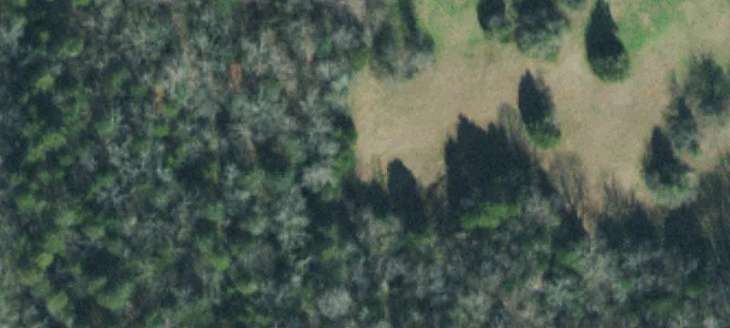 8828 Horton Hwy