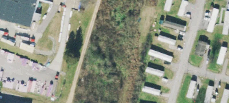 Burt Dr