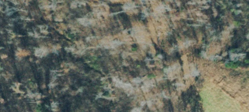 1049 Hwy 76
