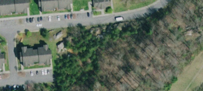 1726 Dave Buck Rd