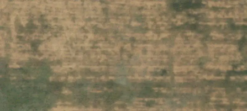 Euless Blvd