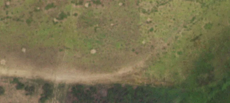 16850 Fm 490