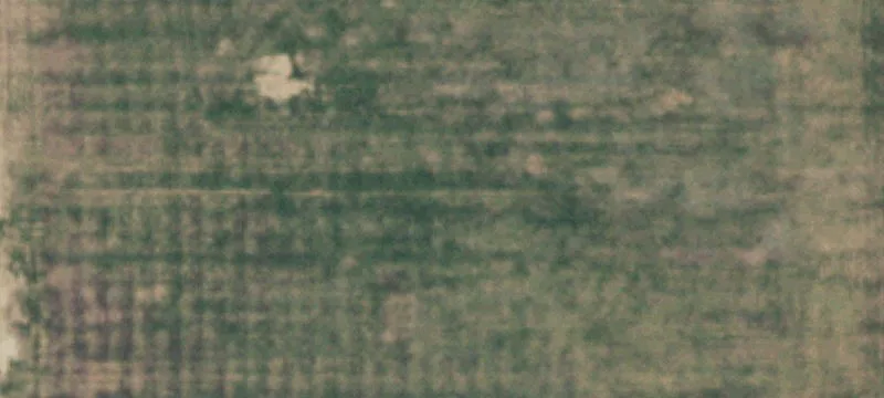 Longhorn Rd