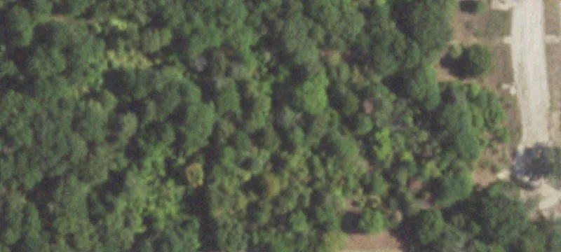 477 County Rd 2220