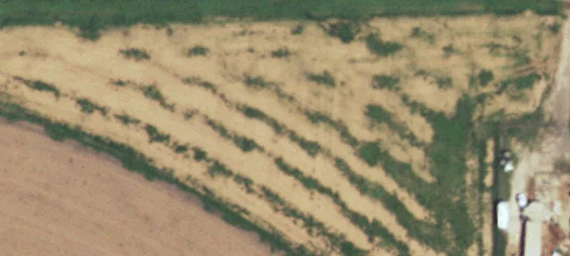 Friona, TX 79035