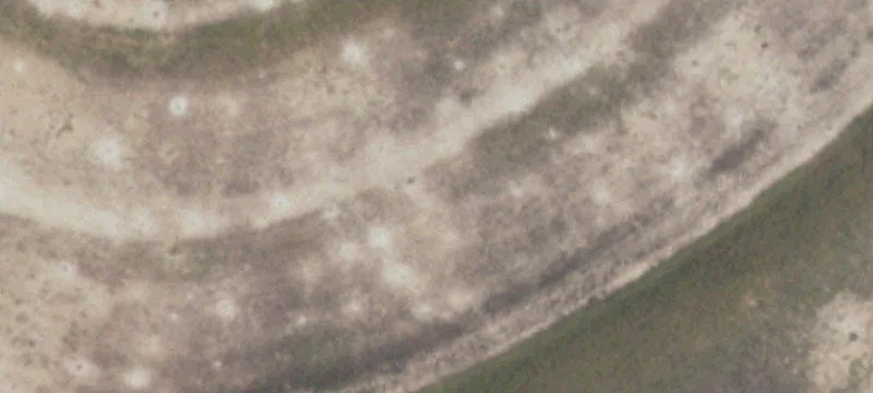 Levelland, TX 79336