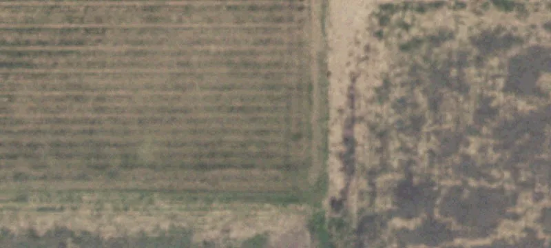 Levelland, TX 79336