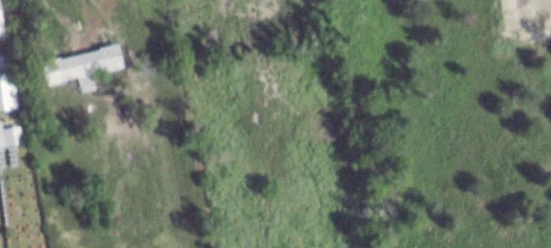 117 Archer Rd