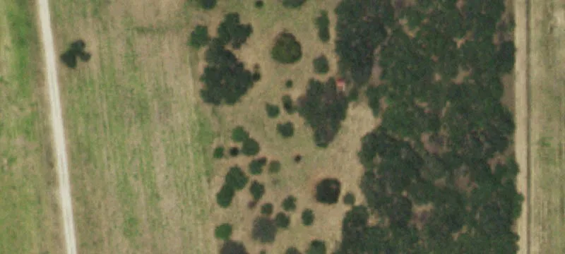 Encino, TX 78353
