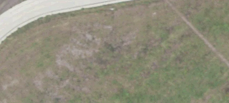 253 Kowald Ln