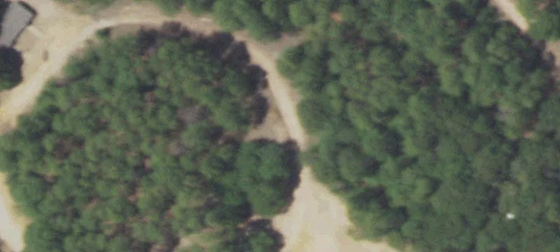 Ben Wheeler, TX 75754