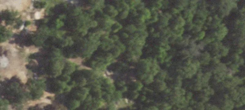 Mineola, TX 75773
