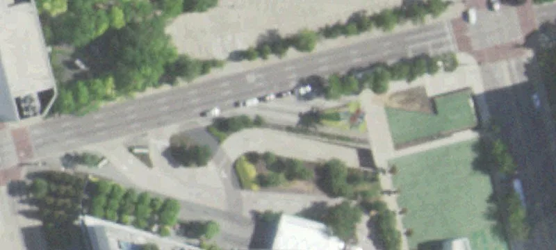 810 Young St