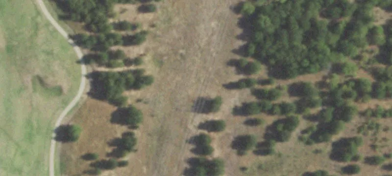 2000 Shady Grv Rd