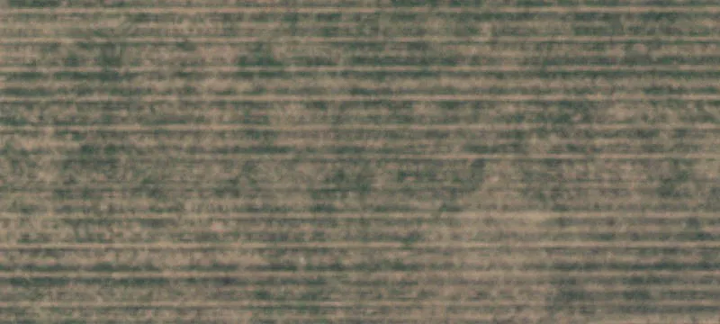 Levelland, TX 79336