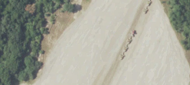 Iola, TX 77861