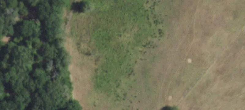 Caldwell, TX 77836
