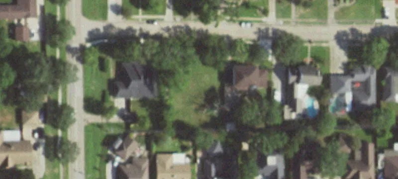 104 Buttercup St