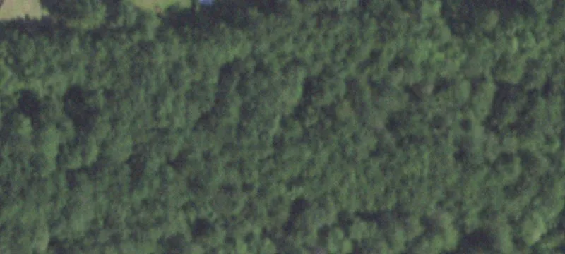 Lumberton, TX 77657