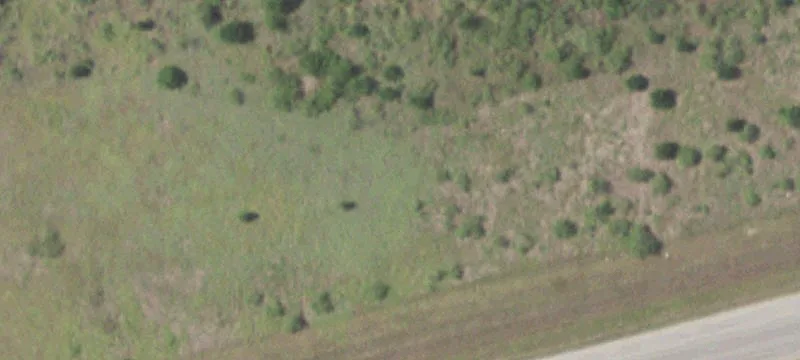 6 Ranchero