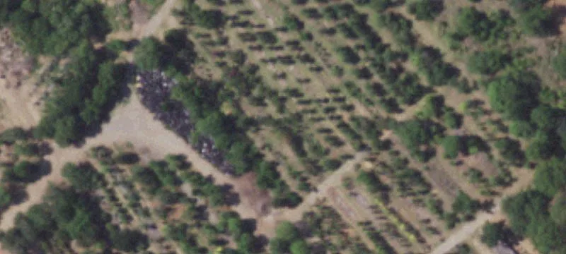 10755 Pearsall Rd