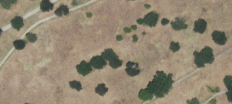 3000 Country Clb Rd
