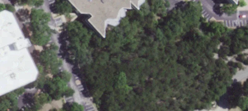 110 Wild Basin Rd