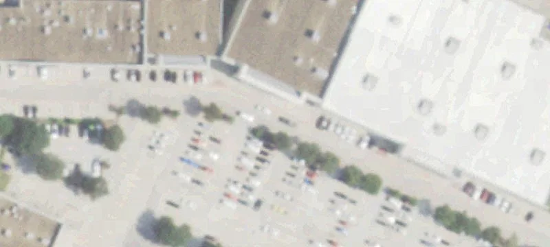 26068 Hwy 290