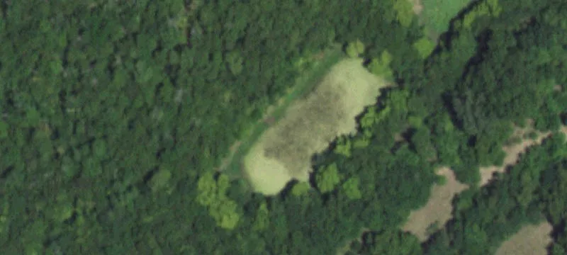 12151 Us Hwy 175