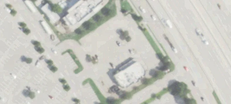 25955 Hwy 290