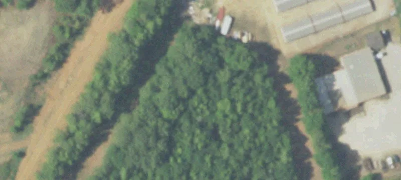 14744 State Hwy 110th S