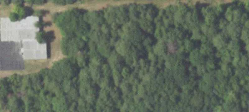 18131 Fm 2493