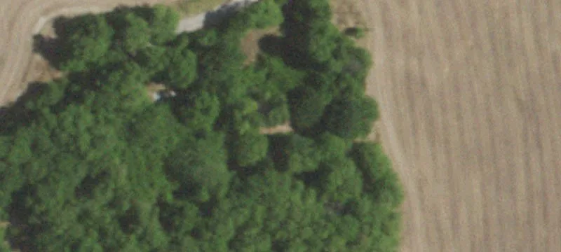 1013 Fulghum Rd
