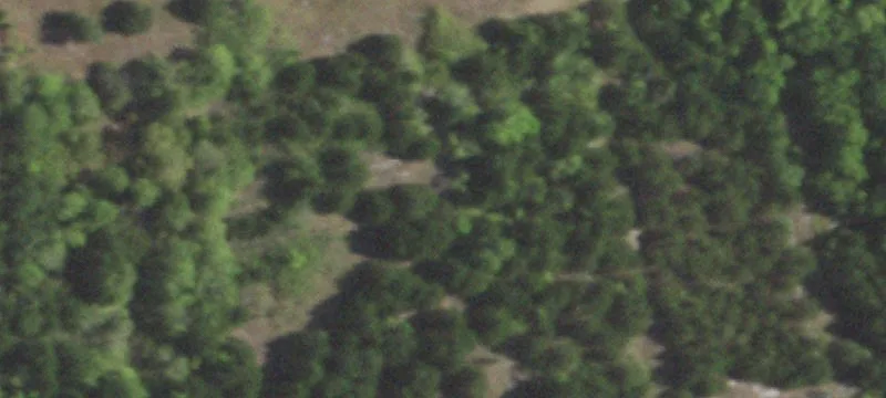 1906 Bear Crk Rd