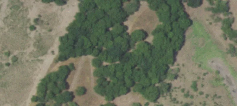 11913 Mcangus Rd