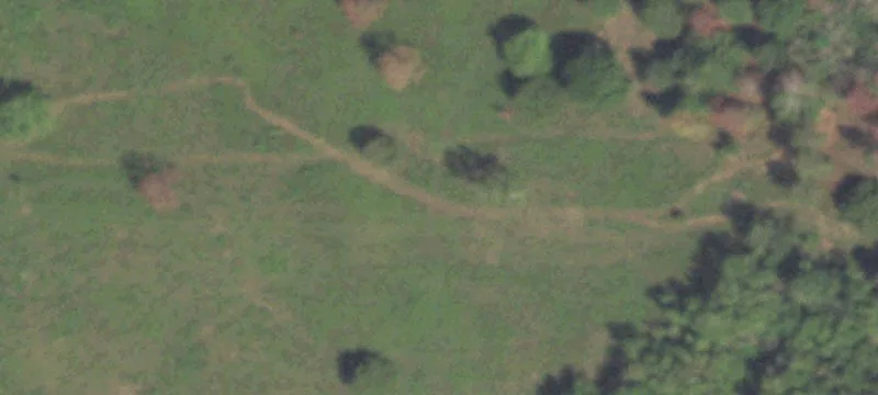 1998 Fm 362nd Rd