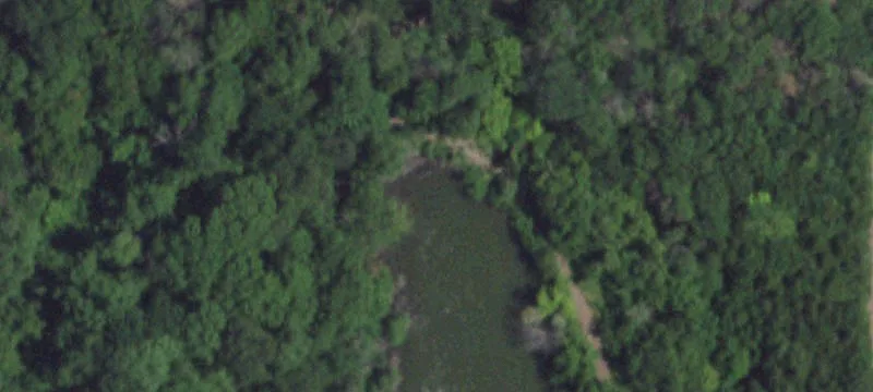 519 Us Hwy 80th E