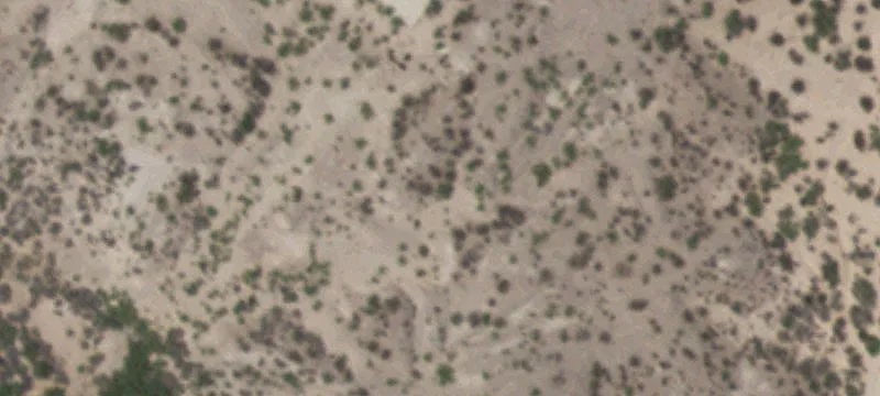 21781 Texas Hwy