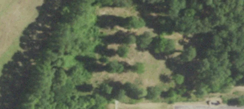 700 Wooded Way