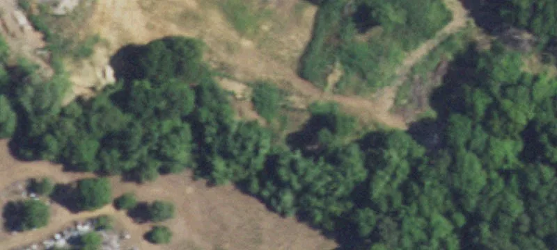 200 Jay Bird Cut Off Rd
