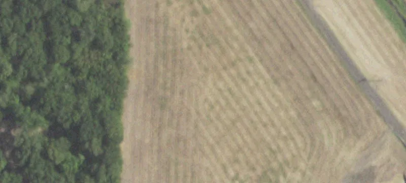 12091 Luna Rd