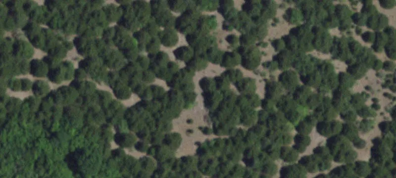3601 Lawson Rd