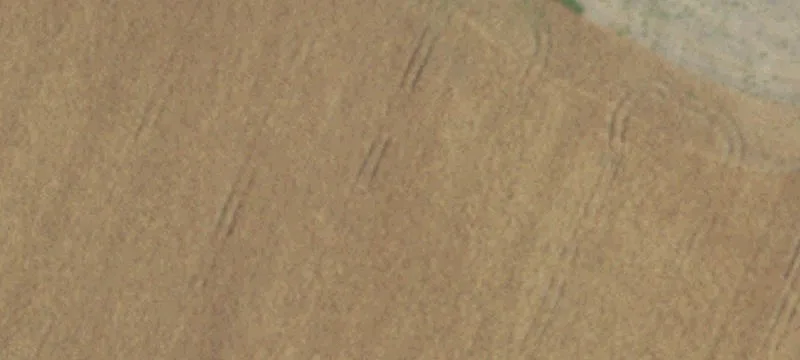4051 Fm 1237