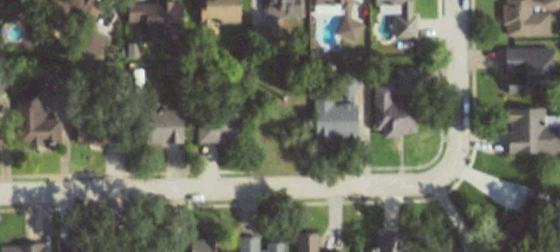 113 Daffodil St