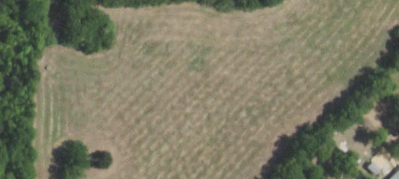 1300 Us Hwy 80th E