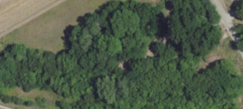 307 Goode Rd