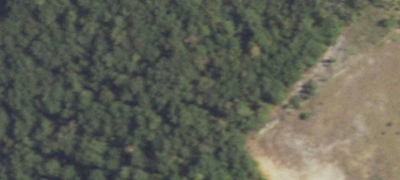 1850 Sam School Rd